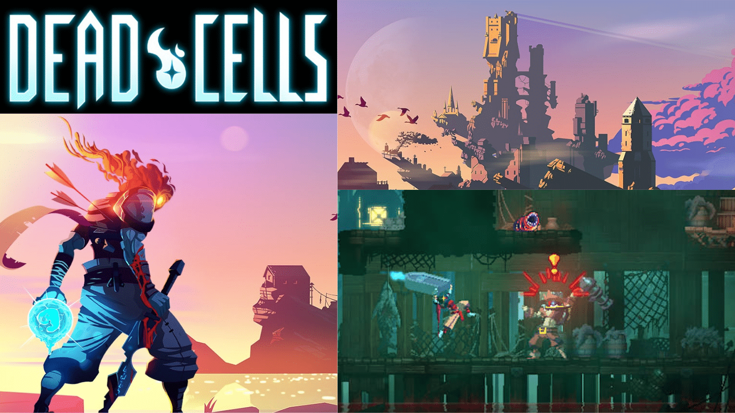 dead cells