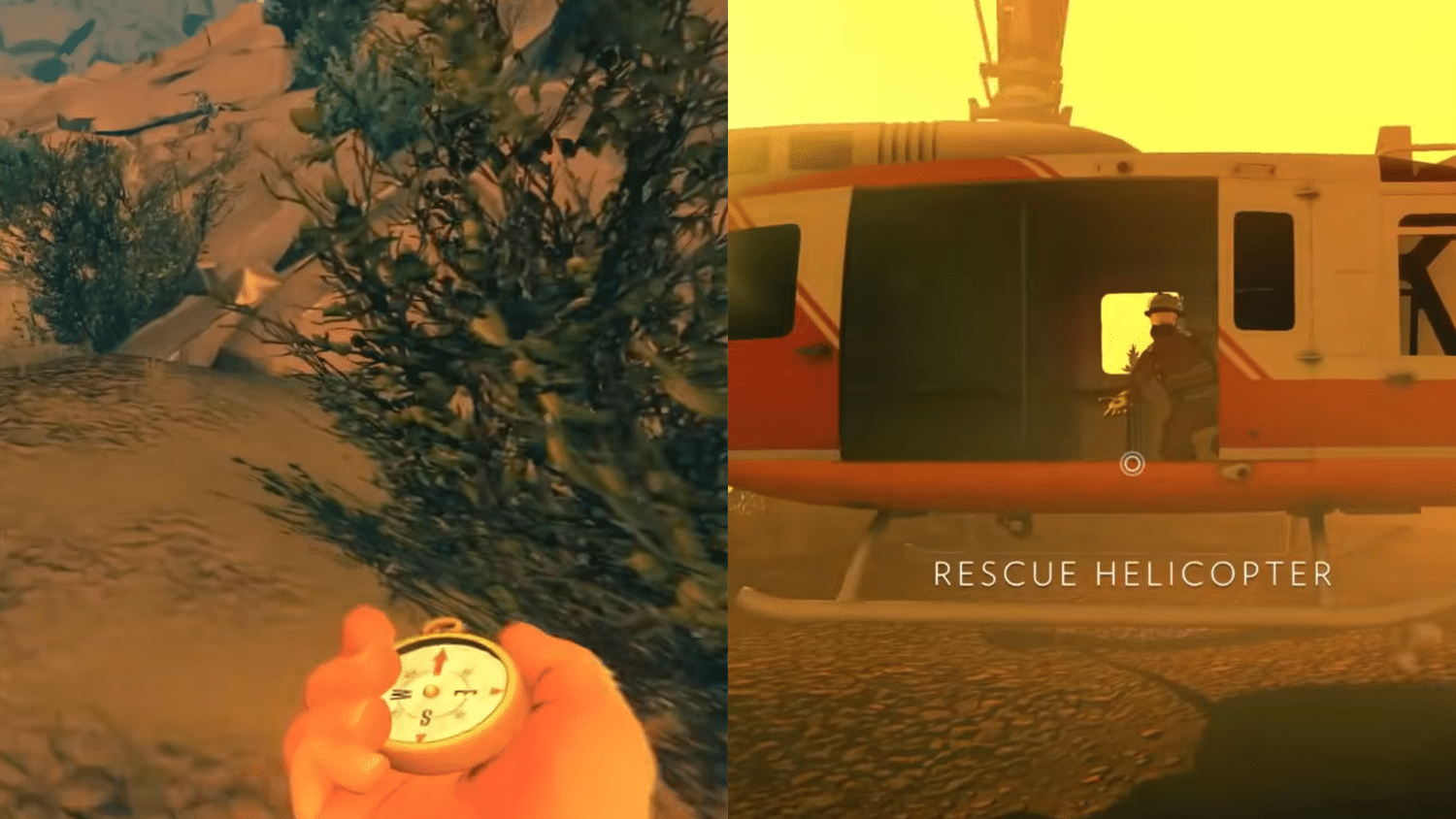 expert takes why it stands out