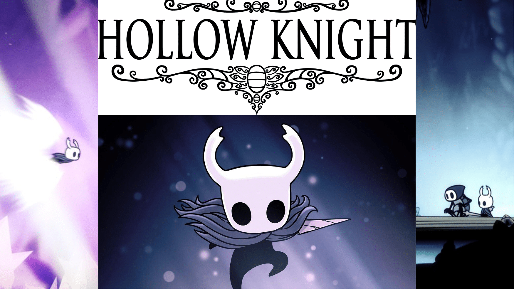 hollow knight