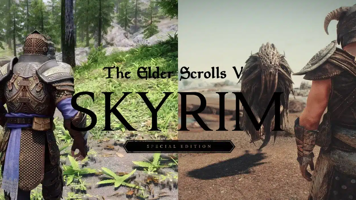 Split screen featuring two armored characters from The Elder Scrolls V Skyrim Special Edition over lush forest and barren ground environments