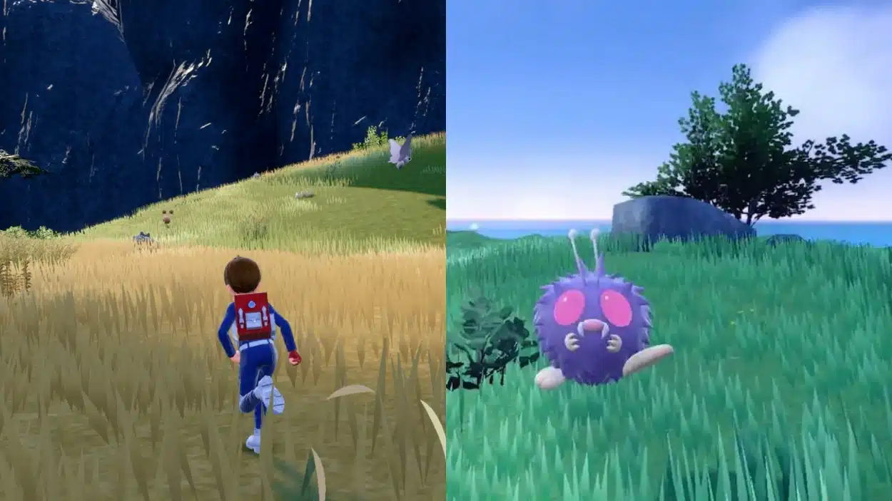 Split screen showing a Pokémon trainer running through a grassy field toward a cliff on the left, and a close-up of a purple, fuzzy Pokémon