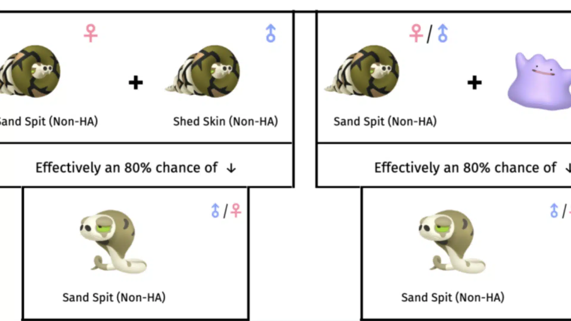 Breeding ability inheritance example with Silicobra/Sandaconda using Ditto: 80% chance of passing down the mother's ability