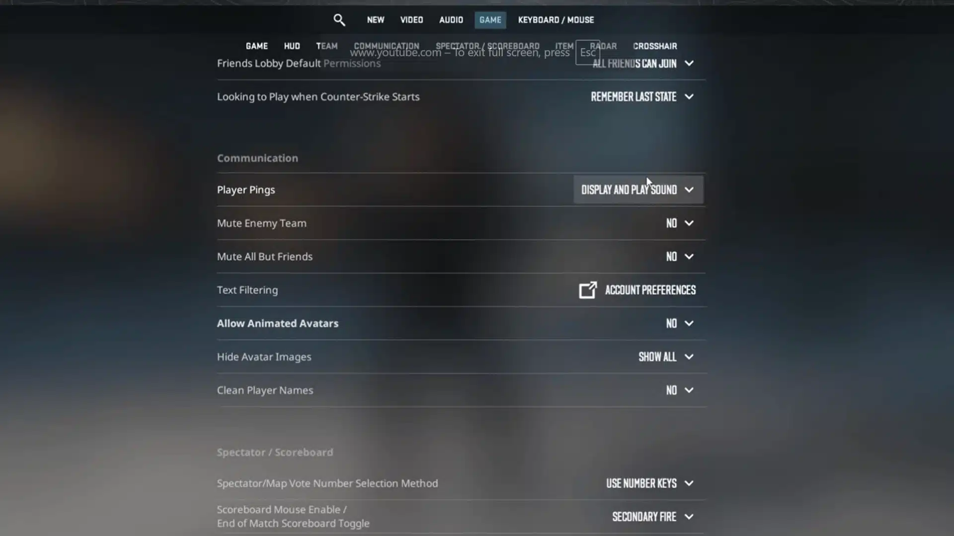 Counter-Strike HUD and crosshair settings configuration screen