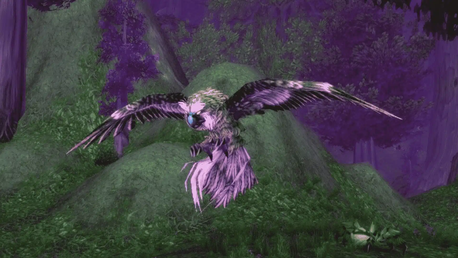 Owl pet in WoW Classic illustrating alternative pet choices for Hunters