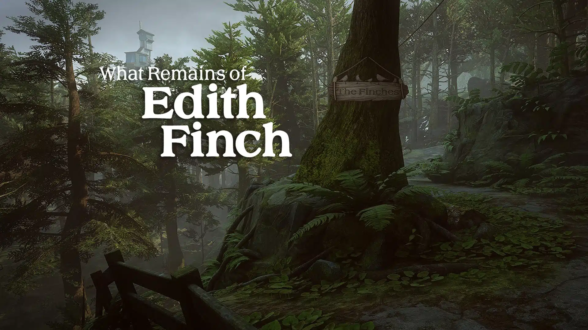 A dense, mossy forest path featuring a wooden tree sign reading 