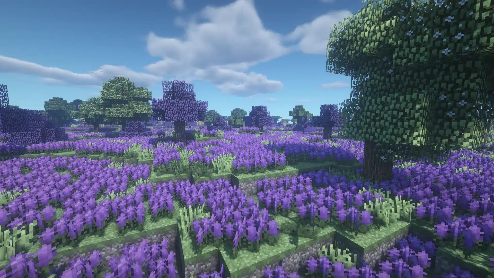 Minecraft landscape featuring a purple flower biome with trees, grass, and improved terrain generation