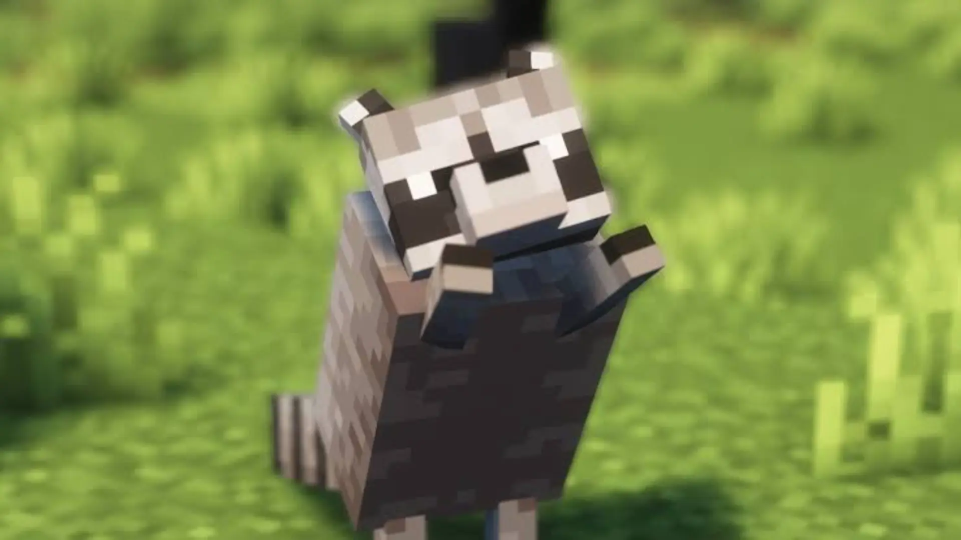 Minecraft panda mob standing in a grassy field with a blurred green background