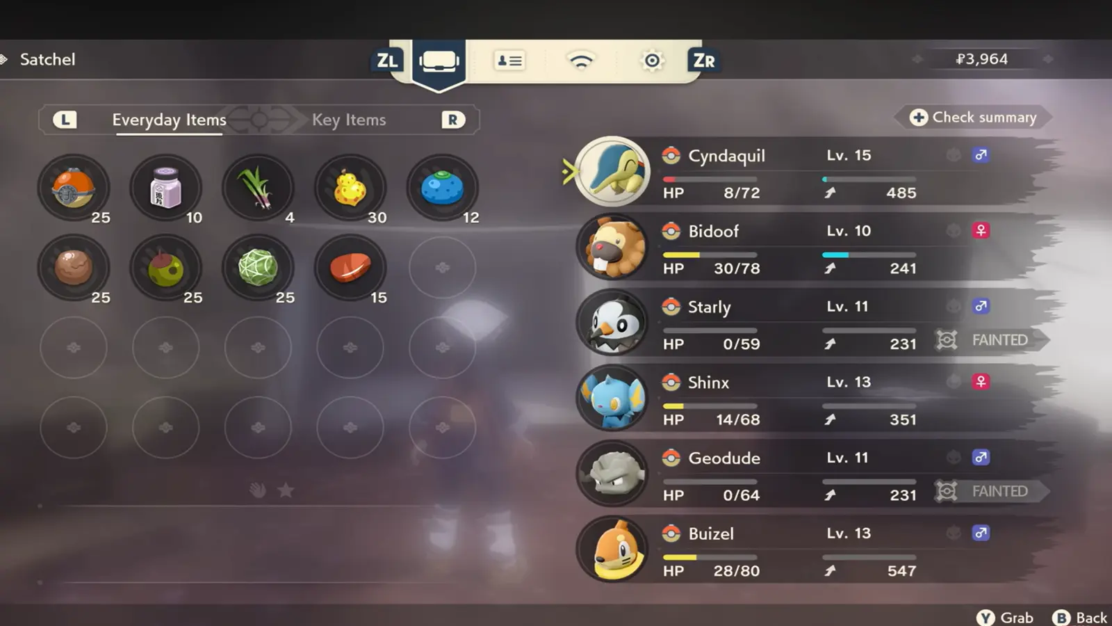 Pokémon Legends: Arceus satchel and party menu screen